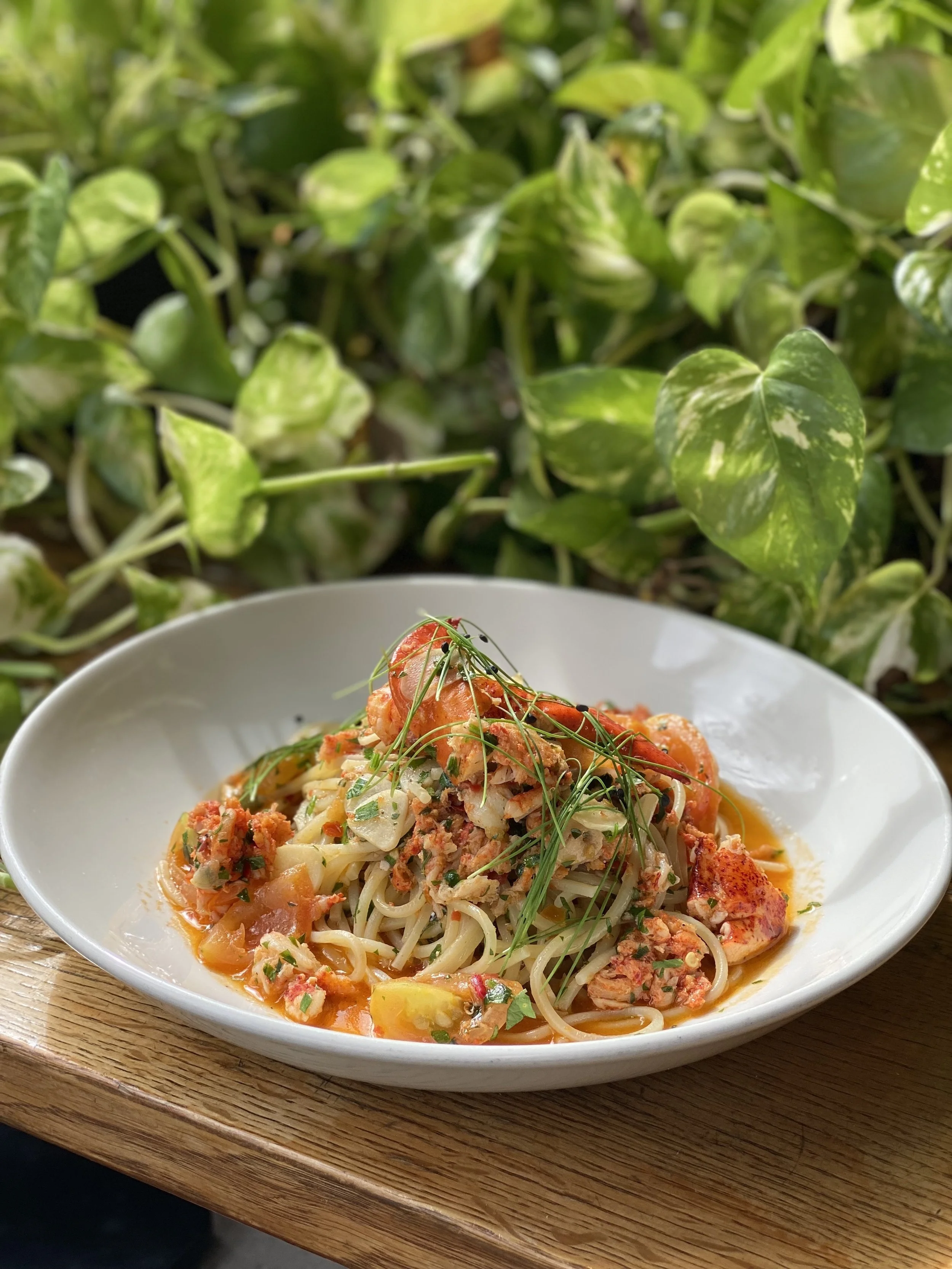 Pasta Hour — VEIN